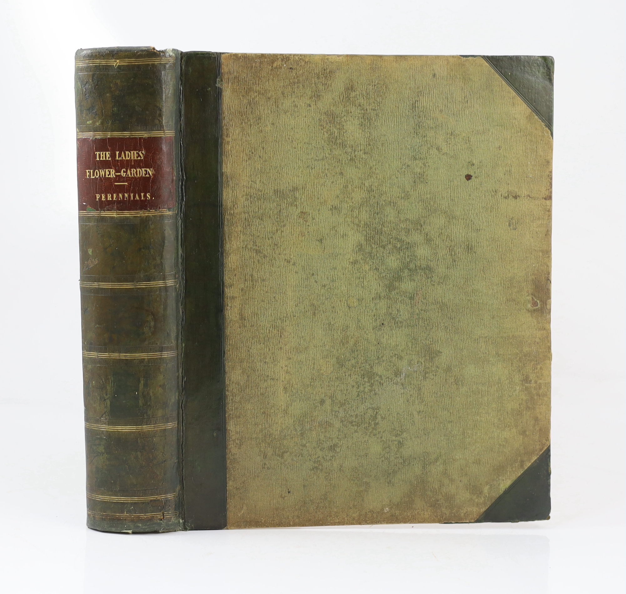 Loudon, Mrs Jane - The Ladies Flower - Garden of Ornamental Perennials. 2nd edition. 90 hand coloured lithographed plates; contemp. green half calf and cloth, gilt ruled spine with maroon label, roy. 4to. (1849)
